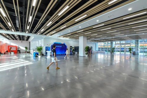 相約湖北 夢幻靈境AI展演中心即將開館，共探網絡技術開發新前沿